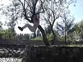 New Flow | Parkour Oaxaca | Tio Maicol New Flow | Parkour Oaxaca | Tio Maicol