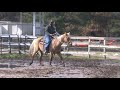 Blind Man Riding Horses