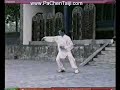 Chen Xiaojia Taijiquan w/Chen RuiHua Chen Xiaojia Taijiquan w/Chen RuiHua