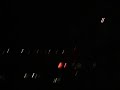 Ca�la � resgatado em Rond�nia