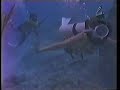 Scuba diver gets her air hose sabotaged. Underwater her buddy (?) slips her air hose off the regulator, leaving her without air. As he watches her drown, he has a change of heart and shares his air with her. Did you notice on the surface he loosens the inhalation hose, underwater her exhalation hose comes off.