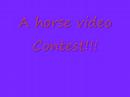 Horse music video contest! IS OVER!!