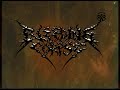 3GP Video Format