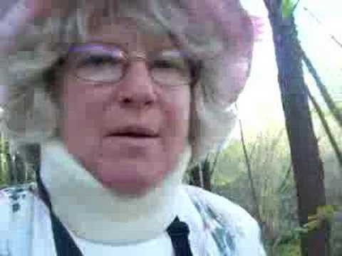 how to transplant skunk cabbage