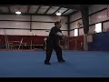 18 Wushu Staff Form