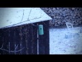 Snow-Mo [EOS 600D + Twixtor]