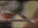 dream theater - as i am