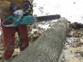 Dolmar 7900 Big Bore Chainsaw