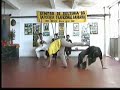 Pratica do Jogo da Capoeira Angola Pratica do Jogo da Capoeira Angola