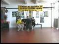 Ver Video