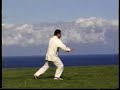 Chen Xiaowang 19 movements