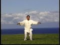 Chen Xiaowang 19 movements