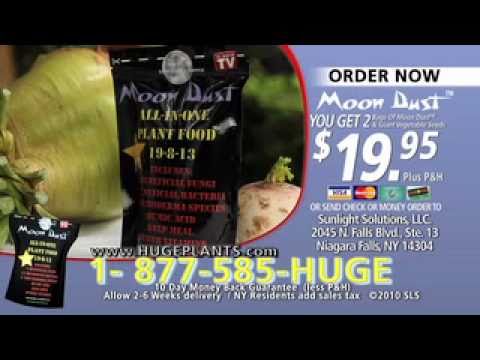 how to fertilize english box