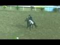 Olympics Modern Pentathlon