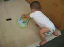 Hasan Tahsin Alk?? Hasan Tahsin Alk??