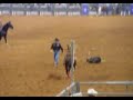 Rodeo Calf Roping Rodeo Calf Roping