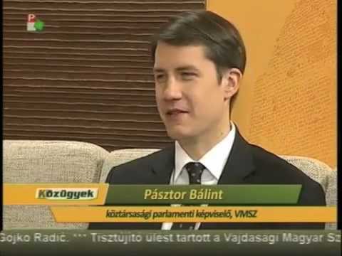 Közügyek - Pásztor Bálint-cover