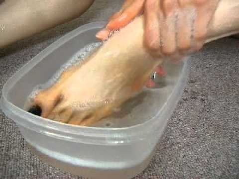 how to treat corns