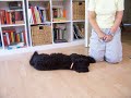 Ein neuer Trick