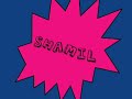 Introducing Shamil