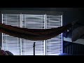 scary  hammock