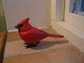 The Cardinal