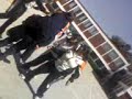 3o b celma