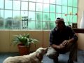 Como ensenar al Perro a echarse, Entrenamiento Clicker