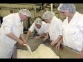 FWi global market report - dairy FWi global market report - dairy