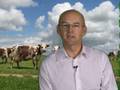FWi-global-market-re