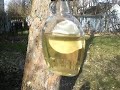 maple_syrup_backyard_3-9-2010.MOV