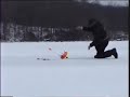 Ice Fishing - 25\" Chain Pickerel on tip-up Ice Fishing - 25\" Chain Pickerel on tip-up