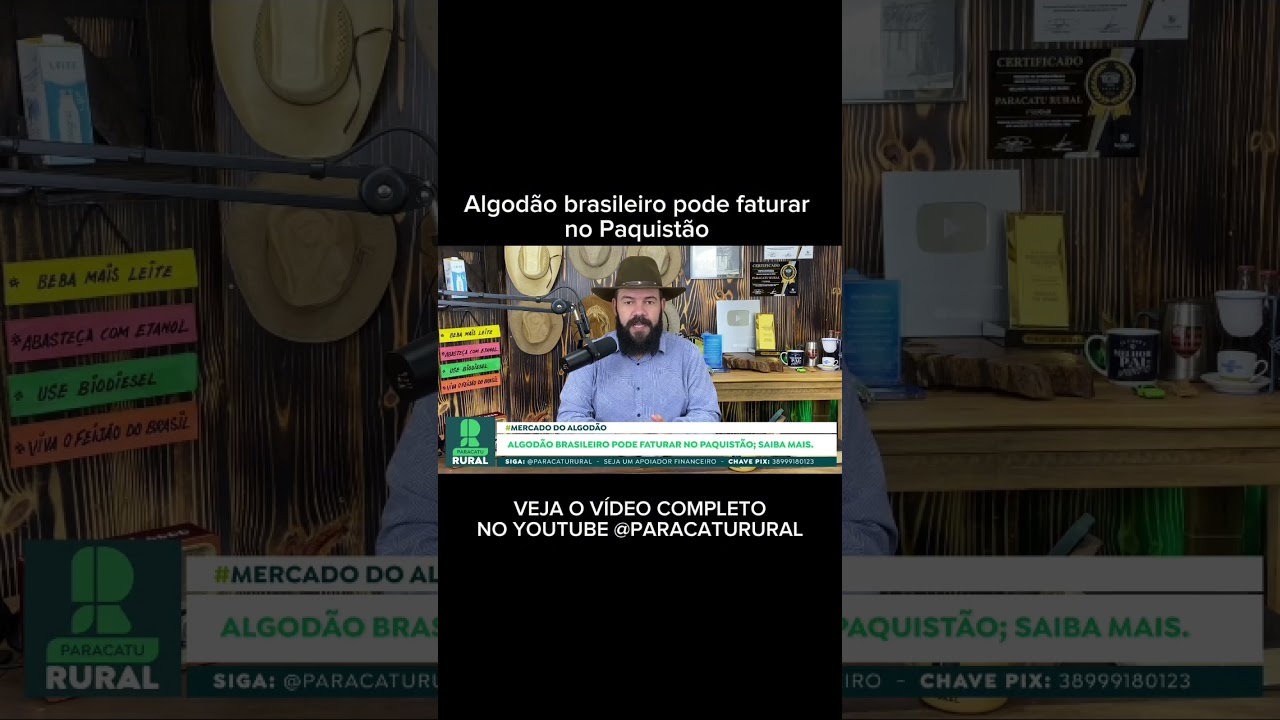 Algodão brasileiro pode faturar no Paquistão