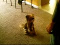 Osker  left & right