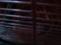 twix de movie,prision break,