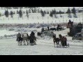 Chariot Cutter Races in Jackson Hole, WY