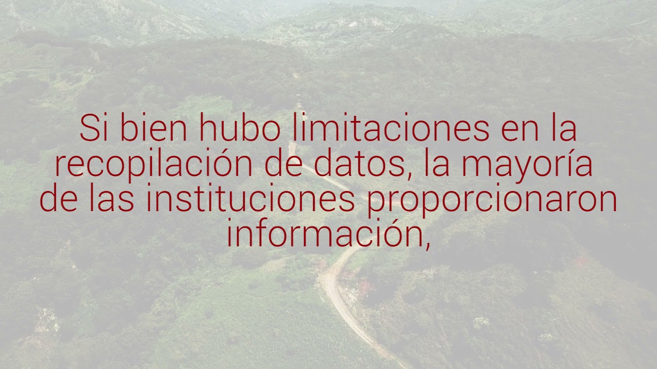 Informe final Social Impact 5