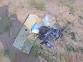 lighter explosion lighter explosion