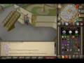 Conflict900's 1-99 Mage guide