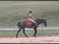 Whata Riva doing flat work