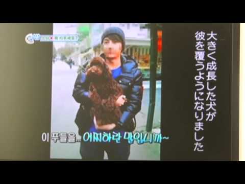芸能ニュース SS501 マンネ キムヒョンジュン 犬詐欺