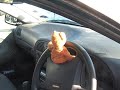 a small bears tourist video of aberdeen, scotland