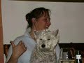 Westieboard-Treffen 2008  Bad Harzburg