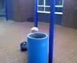 Funny Transformation Funny Transformation