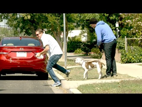 YouTube pranksters Greg Benson and Jack Vale team up for this ridiculous prank in which they run up on dog owners and steal their dogs' poop.