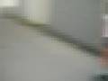 videos de Wipeout