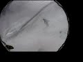 Snowboarding Les Grande Montets, Argenti�re,  Chamonix, 2001