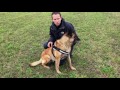 Dakota, Malinois, Ex-Sprengstoffsuchhund