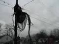 Bloomfield storm damage