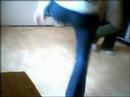 bianca hillegom jumpstyle